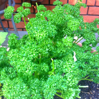 image-20150717143750.png