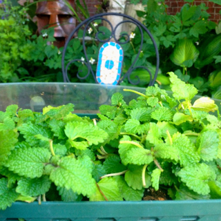 image-20150717143847.png