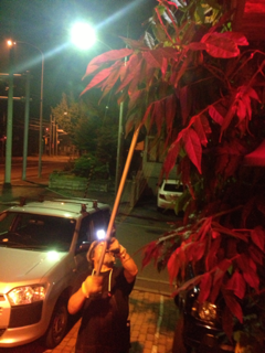 image-20160719232827.png