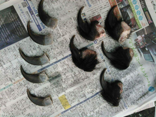 image-20160815233401.png